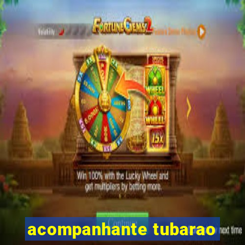 acompanhante tubarao